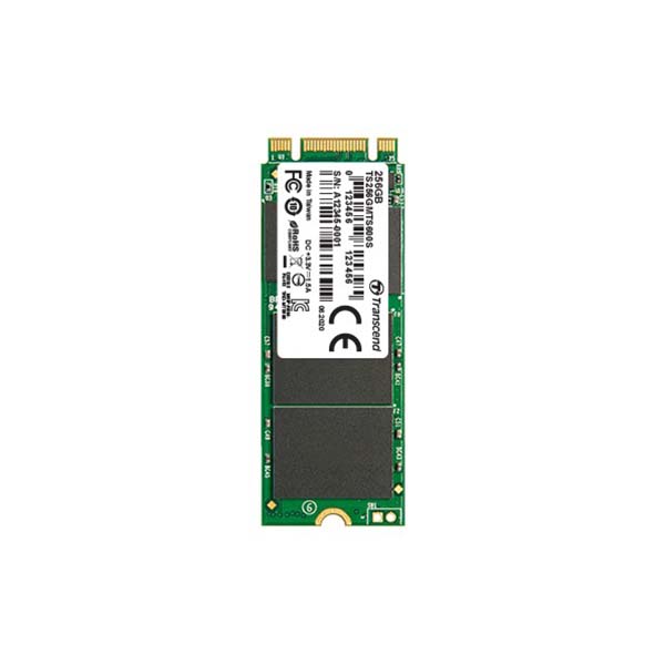 Buy Shop TRANSCEND 600s 256GB M.2 2260 SATA Ill 6gb/s Mlc Nand